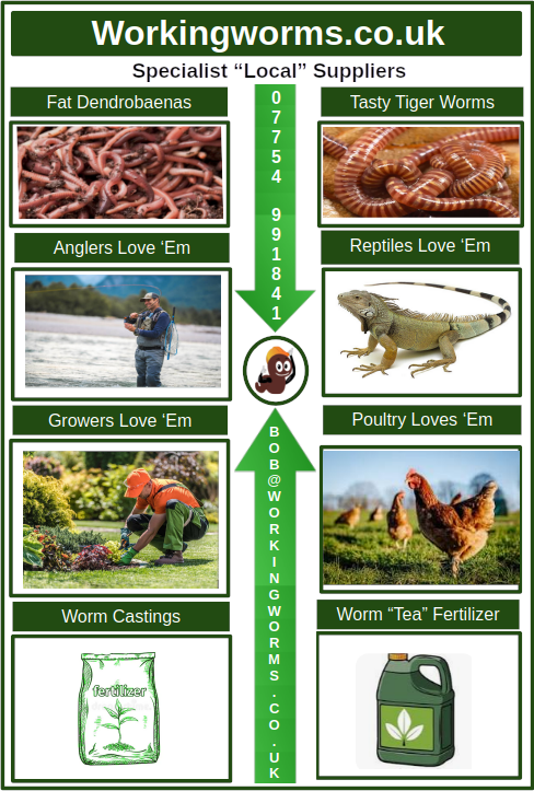 Website_Leaflet_Front